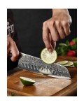 Hezhen Damascus Steel Japanese Knife Set
