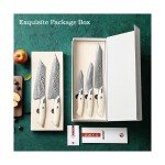 5-Piece HEZHEN Damascus Steel Kitchen Knife Set