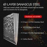 HEZHEN 8.3" VG10 Damascus Steel Chef Knife