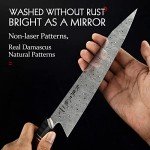 8.5" Damascus Steel Japanese Chef Knife Set