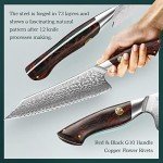 8.5" Damascus Chef Knife with G10 Handle