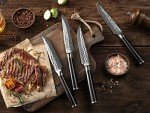 4PC HEZHEN Japanese Damascene Steak Knife Set
