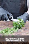Dalstrong Japanese Stainless Steel Kitchen Scissors