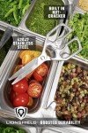 Dalstrong Japanese Stainless Steel Kitchen Scissors