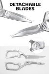 Dalstrong Japanese Stainless Steel Kitchen Scissors