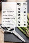 Dalstrong Japanese Stainless Steel Kitchen Scissors