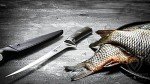 Dalstrong Gladiator 7" Flexible Fillet Knife