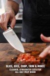 Dalstrong 8-Inch Chef Knife - Gladiator Elite Series