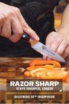 Dalstrong Shogun Elite 3.5" Paring Knife