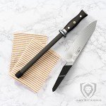 Dalstrong Honing Rod - 10" Stainless Steel Sharpener