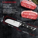 Zennish 5'' Santoku Knife - Ultra Sharp Chef Tool