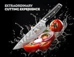 WIZEKA 3-Piece VG10 Damascus Chef Knife Set