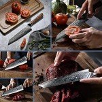 Damascus Chef Knife - 8 Inch VG-10 Steel