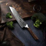 Damascus Chef Knife - 8 Inch VG-10 Steel