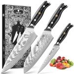 3-Piece VG10 Damascus Japanese Knife Set