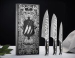3-Piece VG10 Damascus Japanese Knife Set