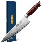 HOSHANHO 8-Inch Damascus Chef Knife, Ultra Sharp