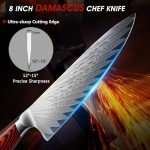 HOSHANHO 8-Inch Damascus Chef Knife, Ultra Sharp