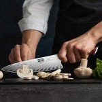 HOSHANHO 8-Inch Damascus Chef Knife, Ultra Sharp