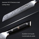 8'' VG10 Damascus Steel Japanese Bread Knife