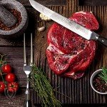 DALSTRONG 9-inch Shogun Elite Carving Knife Set