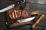 Dalstrong Gladiator 4-Piece Steak Knife Set