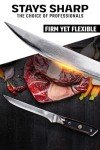 Dalstrong 6-Inch Boning Knife - Shogun Series