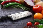 Dalstrong 5-Inch Santoku Knife - Gladiator Series
