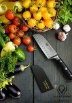 Dalstrong 5-Inch Santoku Knife - Gladiator Series
