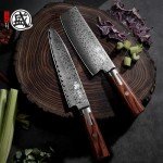 Mitsumoto Sakari 8" Hand Forged Gyuto Knife