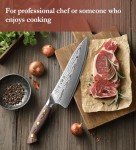 HEZHEN 67-Layer Damascus Steel Chef's Knife