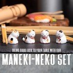 Sushi Making Kit with Knife and Mats