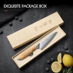 HEZHEN 5.3 Inch Damascus Steel Utility Knife