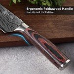 PAUDIN Professional Chef Knife with Wooden Handle
