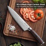 PAUDIN Professional Chef Knife with Wooden Handle