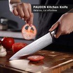 PAUDIN Professional Chef Knife with Wooden Handle
