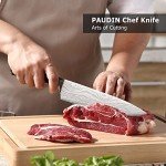 PAUDIN Professional Chef Knife with Wooden Handle
