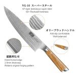 HOSHANHO 3-Piece Damascus Kitchen Knife Set