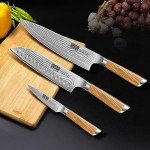 HOSHANHO 3-Piece Damascus Kitchen Knife Set