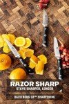 Dalstrong Gladiator 3-Piece Paring Knife Set