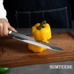 Sumteene 10.8" Japanese Sushi & Sashimi Knife