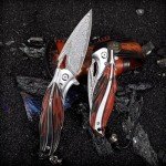 ALVELY VG10 Damascus Folding Pocket Knife with Case