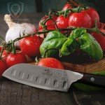 Dalstrong 5" Santoku Knife - Shogun Series Elite