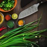 Dalstrong 5" Santoku Knife - Shogun Series Elite