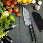 Dalstrong 5" Santoku Knife - Shogun Series Elite