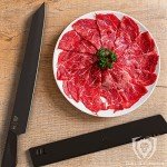 Dalstrong 10.5" Yanagiba Sushi Knife - Shadow Black