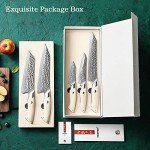Damascus Steel Kitchen Knife Set - 5 Pieces