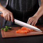 10.6-Inch FXFSTEEL Japanese Sushi Sashimi Knife