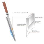 10.6-Inch FXFSTEEL Japanese Sushi Sashimi Knife