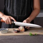 10.6-Inch FXFSTEEL Japanese Sushi Sashimi Knife